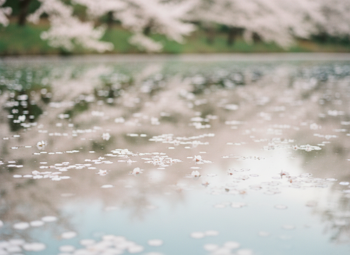 Notes on Silence